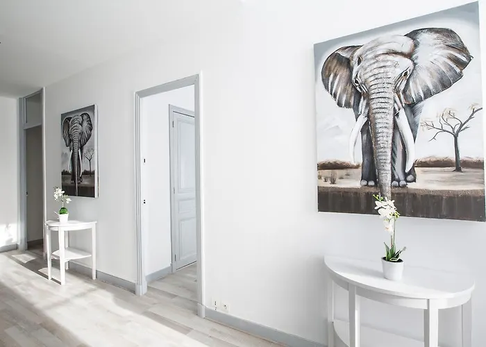 Michel Ange カンヌ